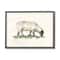 Stupell Industries Grazing Sheep Black Framed Wall Art